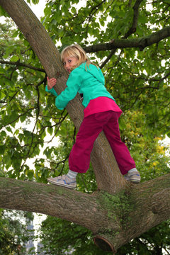 Kleines Mädchen klettert im Baum