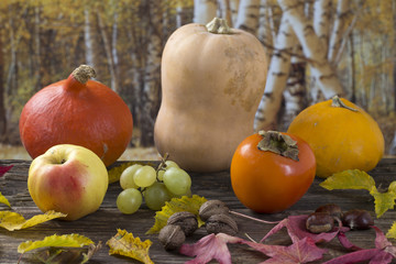Automne