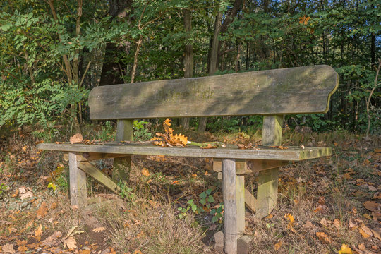 Holzbank in der Dahlener Heide
