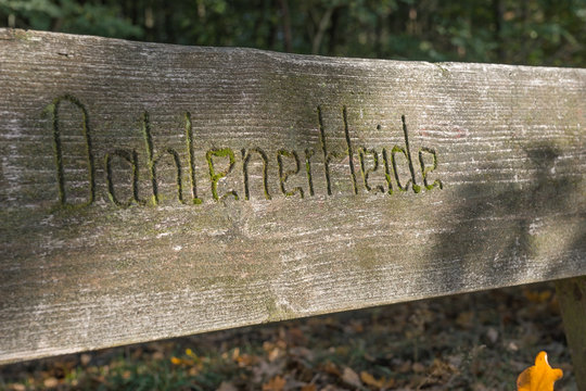 Holzbank in der Dahlener Heide