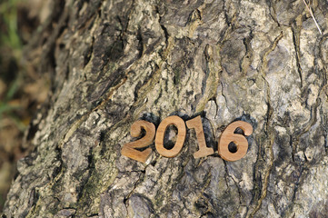 Happy New Year 2016, nature concept and wood number idea