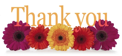 Foto op Canvas Saying Thank you with Flowers - five dahlia heads laid in a row with the word 'Thank you' emerging from the top in a wide banner on white background  © Nikki Zalewski