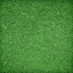 Beautiful green grass texture