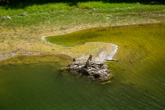 Bolboci Lake - located in Carpathians Mountains in Romania