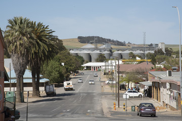 Grain silos overlook the farming town of Moorreesburg in the Swartland region of South Africa © petert2