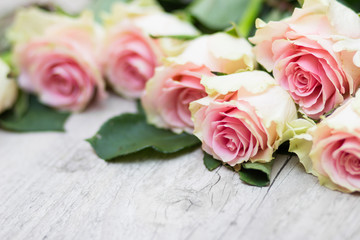 Roses on a wooden background