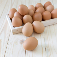 eggs