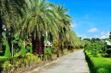 Beautiful walkway at the garden