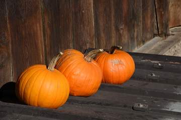 zucca zucche decorare le zucche zucche arancioni halloween