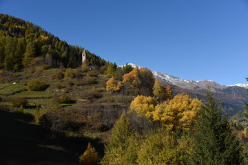 montagna autunno alberi larici neve cime 