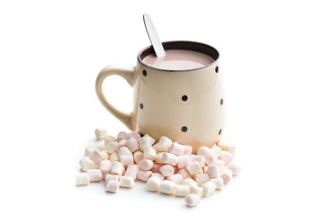 mini marshmallows and cocoa drink