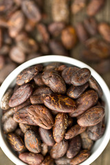cocoa beans in bowl