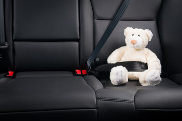 Teddy bear fastened in the back seat of a car