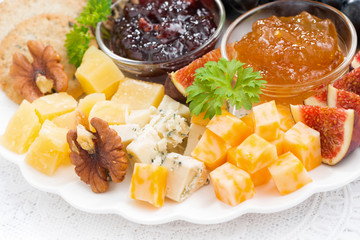 delicious cheese and fruit plate to the holiday, closeup