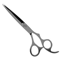 Barber Scissors