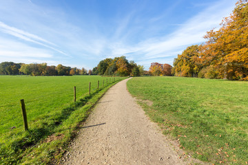 Fototapeta na wymiar Sandy path between green meadows with autumn colors