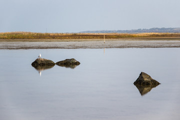 Ostseeküste auf der Insel Poel
