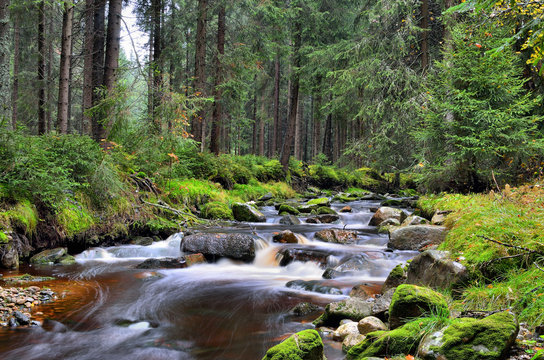 Gebirgsfluss Rolava im Erzgebirge