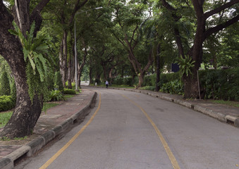 Road in the park/View of road in the park.