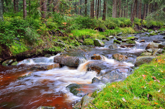 Wildwasser im Erzgebirge