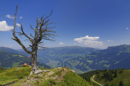 Blick vom Penkenjoch ins Zillertal