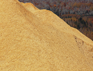 Woodchips Sawdust Pile Autumn Colors
