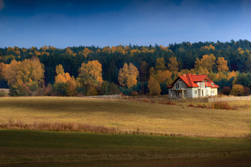 Jesienne Piękno  © Wojciech Lisiński