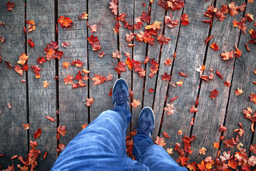 A man walking on aged wooden floor with colorful autumn season leaves. Autumn season man walk. Conceptual autumn season photo, point of view perspective used.