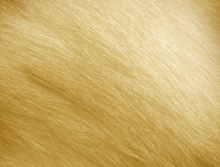 Gold plaque