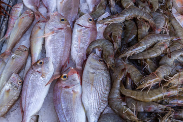Close up of fresh shrimp and sea beam on ice patway