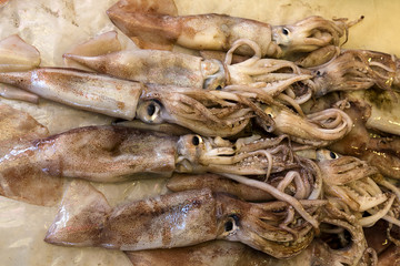 Close up of fresh shrimp on ice patway