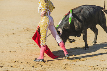 Spanish torero