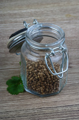 Coriander seeds