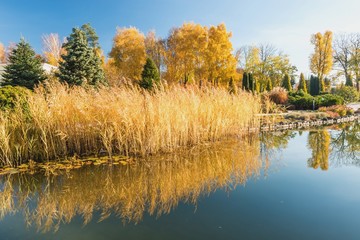 Фрагмент осеннего озера