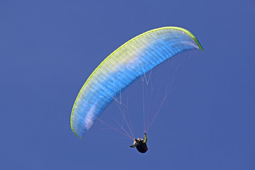 Paraglider