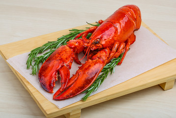 Lobster