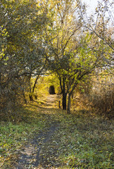 Осенний пейзаж в солнечный день