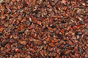 Cacao Nibs
