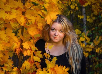 Naklejka na ściany i meble A young woman of 35 years old, with long blonde hair, brown eyes, in the autumn forest on a background of yellow-golden maple leaves in autumn evening