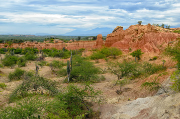Fototapeta na wymiar Amazing view to colorful Tatacoa desert 