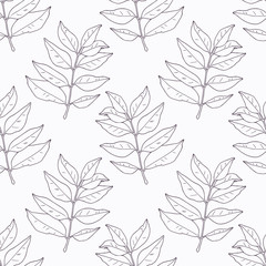 Hand drawn curry leaves and branch outline seamless pattern