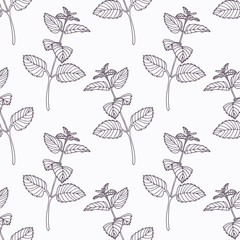 Cotton fabric Hand drawn melissa branch outline seamless pattern
