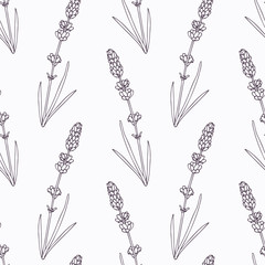Hand drawn lavender branch and flowers outline seamless pattern - 94684940