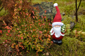 Santa on the green background