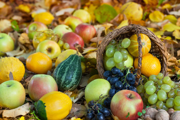 Naklejka na ściany i meble Apples, grapes and pumpkins in autumn grass and leaves