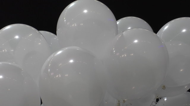 Bunch of white single color colour helium balloons moving against black background