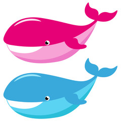 Icono plano ballena en varios colores