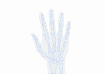 Handknochen