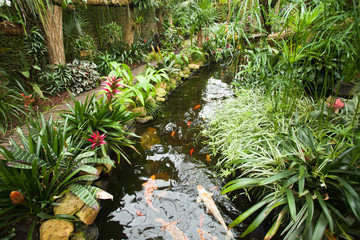 Exotic tropical garden landscape