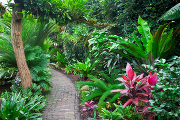 Exotic tropical garden landscape
